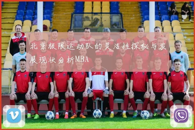 北京极限运动队的灵活性探秘与发展现状分析MBA
